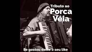 Tributo ao Porca Véia (as melhores músicas interpretadas pelo eterno Porca)