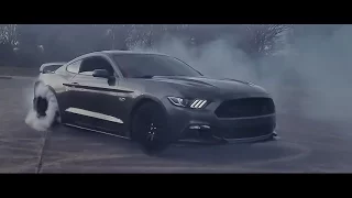 Mustang Mayhem | Indefinite Edits