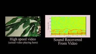 The Visual Microphone: Passive Recovery of Sound from Video