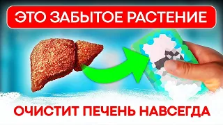 КАК ПРАВИЛЬНО очистить печень НАВСЕГДА! Спас этим методом пациента..