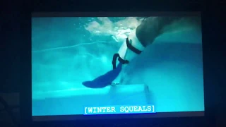 DOLPHIN TALE: (2011) 😲OH NO!😲 ❄️WINTER❄️ THE 🐬DOLPHIN🐬 DOESN’T LIKE IT.