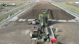 Piling Sugar Beets in 2020