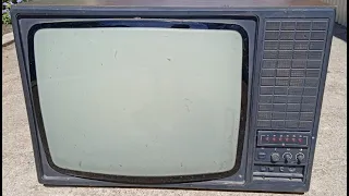 Разбор телевизора КАСКАД - 61ТБ - 301.Содержание драгметаллов