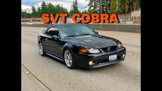 1999 Mustang SVT Cobra: Test Drive and Review