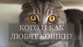 КОГО И КАК ЛЮБЯТ КОШКИ?