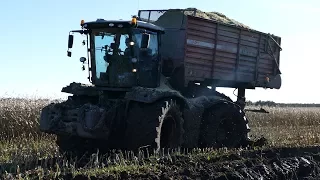 Claas Xerion 5000 & 3800 Heavy Mud Equipment | Corn & Maize Chopping | Häckseln 2017