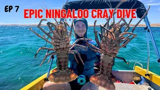 14 MILE EPIC CRAYFISH DIVING ! CATCH & COOK | WARROORA STATION | EP 7