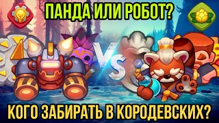 RUSH ROYALE | ПАНДА ИЛИ РОБОТ? | ДОНАТНЫЕ ДД | УНИВЕРСАЛЬНОСТЬ ИЛИ УРОН? | ЧТО КАЧАТЬ НОВИЧКУ? |