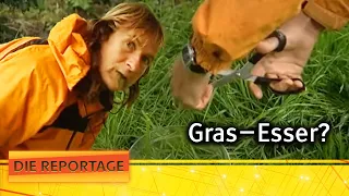 Grundnahrungsmittel Gras? Der Alltag als GRAS-Esser! | Die Reportage | ATV