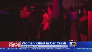 Woman Fatally Struck While Looking For Dog In Panorama City