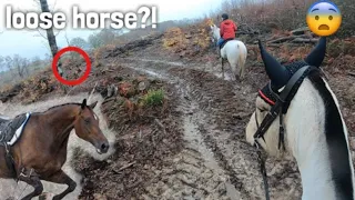 trying to help find a horse 😅 | GO PRO HACK