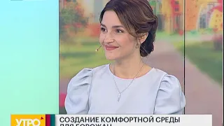 Создание комфортной среды для граждан. Утро с Губернией. 20/09/2018. GuberniaTV