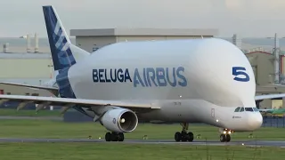 Beluga 5 Landing at hawarden airport (EGNR)