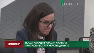 Посол Канади Ґаладза назвала три умови вступу України до НАТО