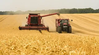 This Is How Australian Farmers Produce Millions Of Tons Of Wheat