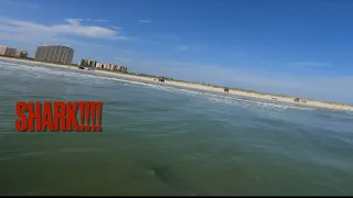 New Smyrna Beach Surfers Surrounded by Sharks!!!
