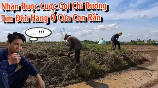 Một cuộc gọi dẫn đường tìm đến con Rắn độc cùng với ổ trứng | TGSB #893