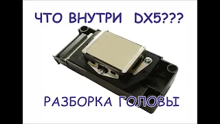 EPSON DX5 Как устроена голова