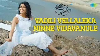 Vadili Vellaleka - Ninne Vidavanule Video Song| Anaganaga O Premakatha| Ashwin J| Riddhi K| KC Anjan