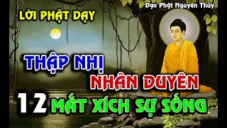 THẬP NHỊ NHÂN DUYÊN || 12 NHÂN DUYÊN KIẾP NGƯỜI || #phatphap #lời_phật_dạy