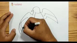 HOW TO DRAW A SWALLOW Easy Step by Step For Kids