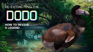 How to De-Extinct The Dodo Bird | Process Overview | Colossal Biosciences