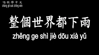 【唱歌學中文】►南方二重唱 / 整個世界都下雨◀ ►nán fāng èr chóng chàng / It rained the whole world ◀『分不清淚和雨 我最痛的記憶』【動態歌詞】