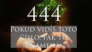 VZKAZ OD ANDĚLŮ  444 andělské číslo👼 ✨🦋| VAROVÁNÍ| #andelskacisla #anděle #vzkazy