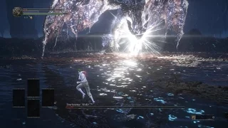 Darkeater Midir - Fists Only - No Rolling/Blocking/Parrying/Damage