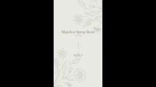 Majolica Spray Rose Sugar Flower Tutorial (Gumpaste / Flower Paste)