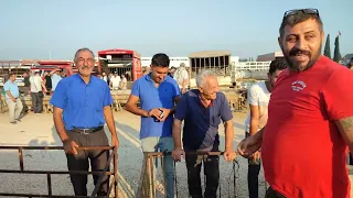 İZMİR TORBALI HAYVAN PAZARI HİÇ BÖYLE GÖRÜLMEDİ???