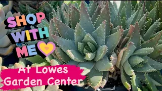 Lowes Garden Center Shop With Me | Big Box Plant Store | @TheSucculentHome | March 2024