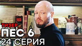 Сериал ПЕС 6 - 6 сезон - 23 серия - ТИЗЕР | СЕРИАЛЫ ICTV