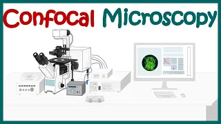 Confocal microscopy | What is the difference between confocal and fluorescence microscopy?