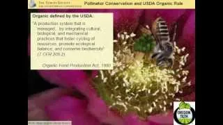 Habitat for Pollinators and Beneficial Insects