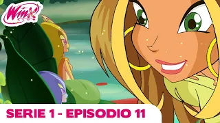 Winx Club - Serie 1 Episodio 11 - Il regno delle Ninfe [EPISODIO COMPLETO]