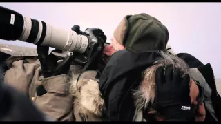 Соль земли (2014) — трейлер на русском