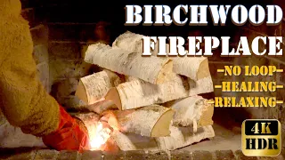 Birchwood Bliss: Cozy Fireplace Ambiance for Supreme Relaxation. Real time, No loop, 4K HDR