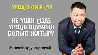 НЕ ҮШІН СІЗДЕ ҮРЕЙЛІ ШАБУЫЛ БОЛЫП ЖАТЫР? | КАМАЛБАЙ ЮСУПБАЙҰЛІ