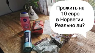 Можно ли прожить в Норвегии на 10 евро в сутки? Эксперимент длиною в 5 дней.