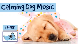 1 Hour of Calming Music for Dogs!