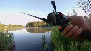 Тест Maximus Black Widow C 24 ML+ Daiwa Tatula CT 100 HL