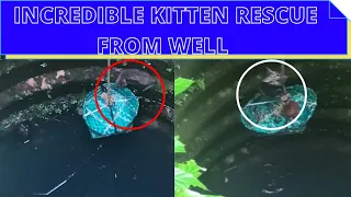 Kitten rescue videos | Cute Kitten Rescued From Well |  Kitten Crying For Help |