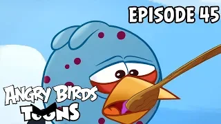 Angry Birds Toons | Bird Flu - S1 Ep45