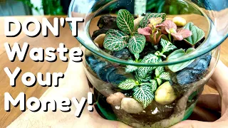 DON'T Buy A Terrarium - Make Your Own!