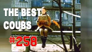 Best COUB #258 - HOT WEEKS VIDEOS