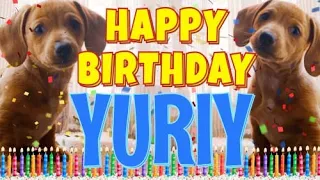 Happy Birthday Yuriy! ( Funny Talking Dogs ) What Is Free On My Birthday