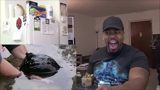 IT'S HUGE! Giant Black Slug REACTION!!!