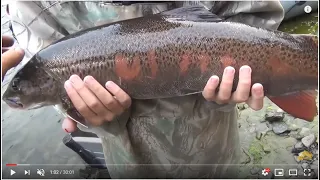 💝 Survival in the taiga episode 4 Hunting, Fishing Siberia Bear Taiga Grayling Taimen Lenok, Nature