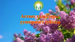 "Астаах талахтары ууннэриигэ субэлэр"